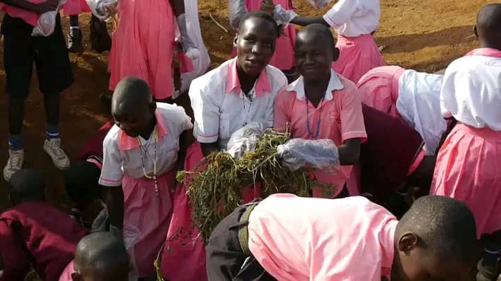 Home whatsapp image 2025 10 03 at 9.07.07 pm (4)