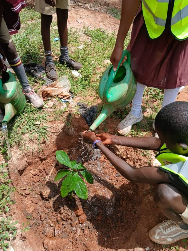 Home whatsapp image 2025 10 03 at 9.07.12 pm (1)