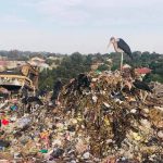 Home whatsapp image 2025 10 03 at 9.07.13 pm