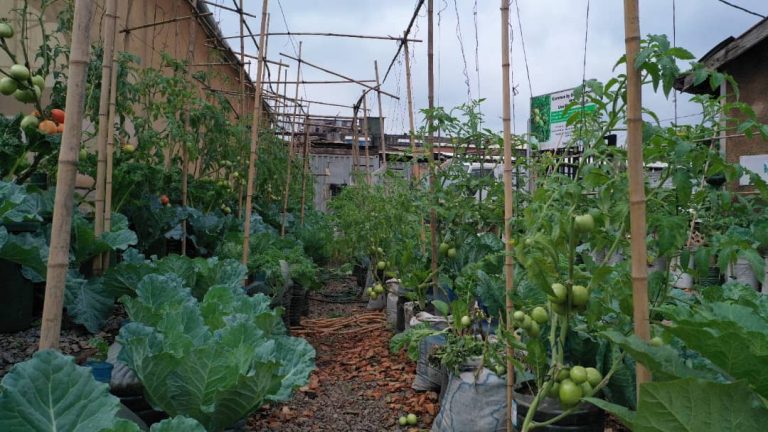 Home whatsapp image 2025 10 03 at 9.07.18 pm (1)